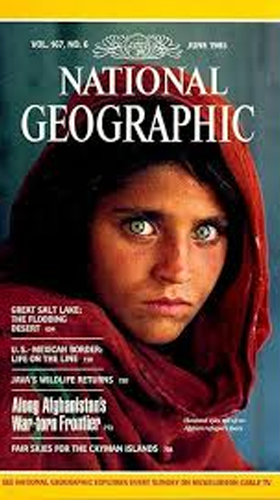 Cavaleiros do Zodíaco